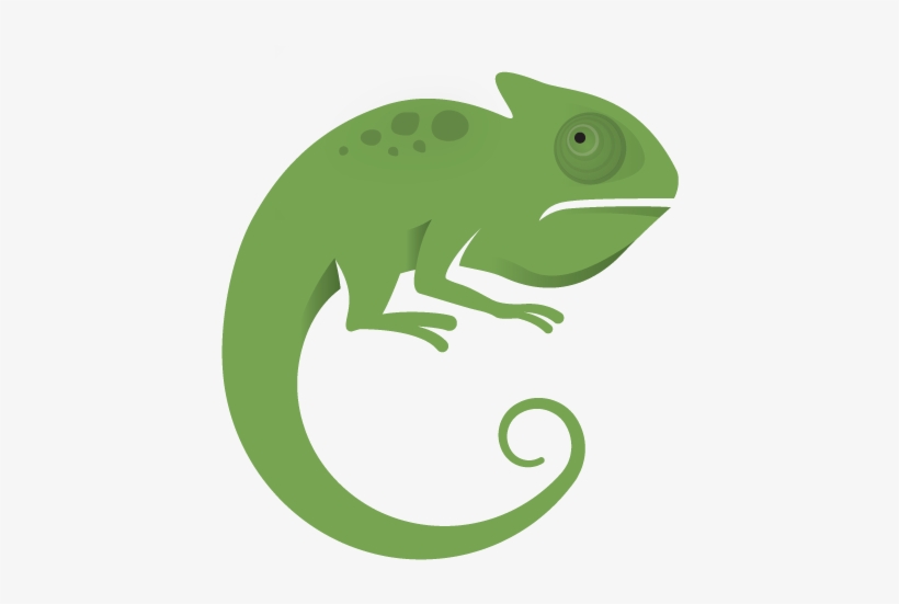 Picture Library Case Studies The Process Of Successful - Chameleon Software, transparent png download