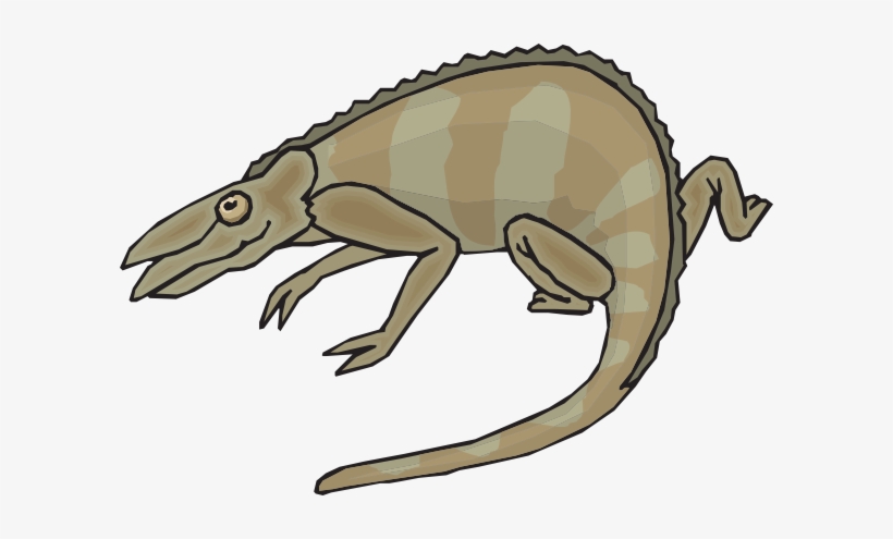 How To Set Use Brown And Gray Chameleon Clipart, transparent png download