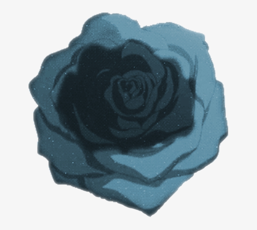 Untitled-2 - - Garden Roses, transparent png download