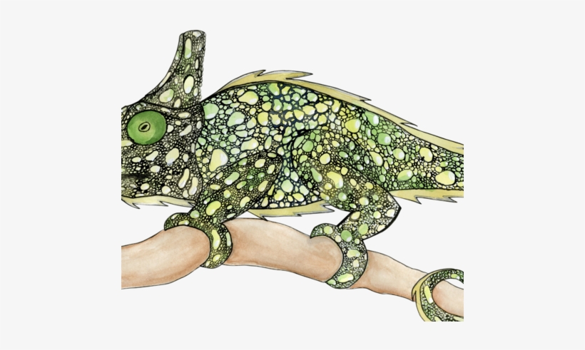Green Chameleon - Cartoon, transparent png download
