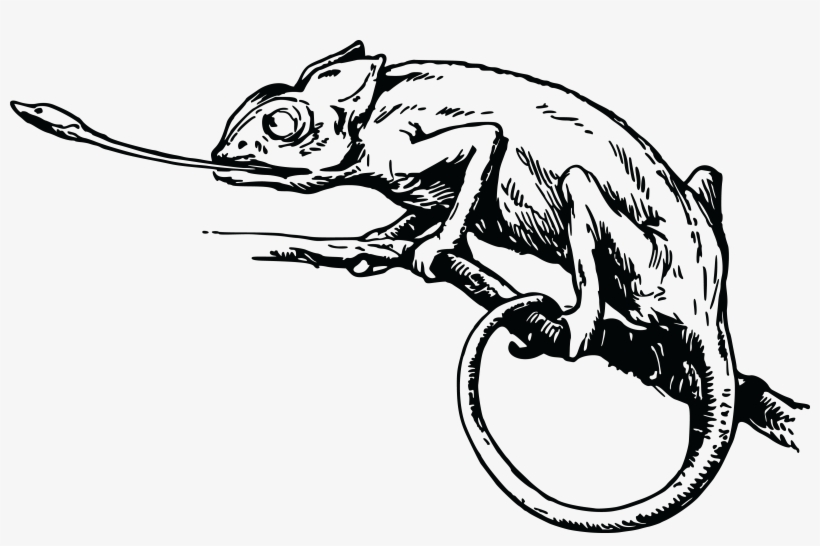 , , - Black And White Chameleon Lizard Clipart, transparent png download