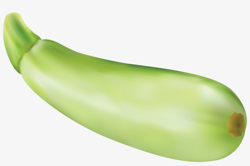 Zucchini Png, transparent png download