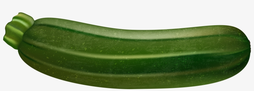 Zucchini Png, transparent png download