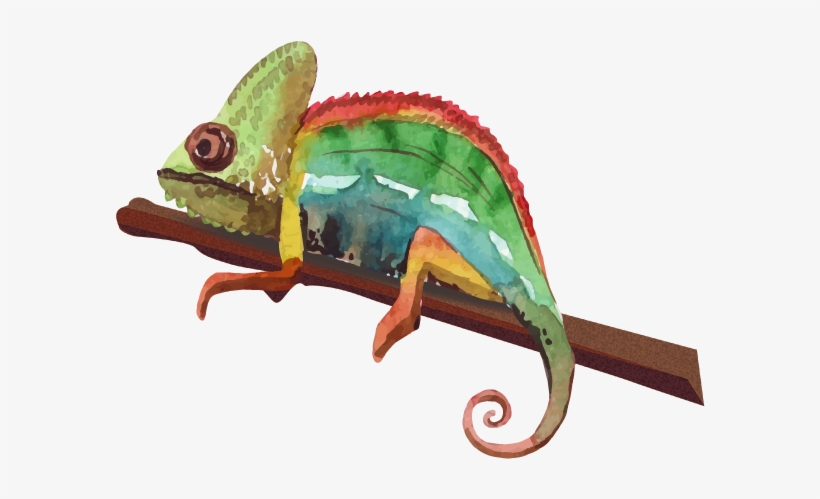 The Need To Adapt - 冷血 动物, transparent png download