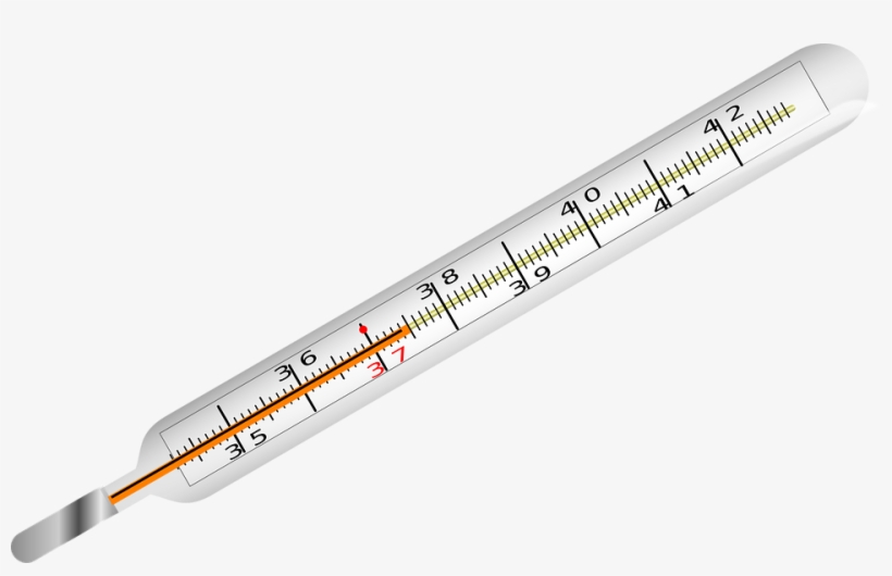 Transparent Thermometer Mercury - Thermometer Png, transparent png download