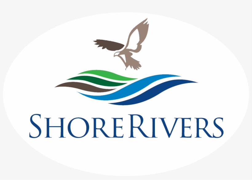 University Of Denver, transparent png download