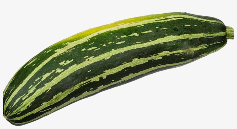 Zucchini Courge Verte Non Coureuse D Italie Coucourzelle Transparent Png 1000x1000 Free Download On Nicepng Zucchini Courge Verte Non Coureuse D Italie Coucourzelle Transparent Png 1000x1000 Free Download On Nicepng