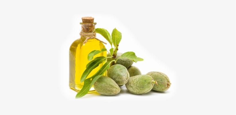 Free Icons Png - Almond Oil Transparent Png, transparent png download