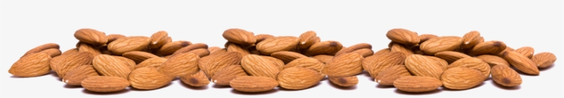 Almonds - Morimax Virgin 100% Pure Almond Oil 150 Ml, transparent png download