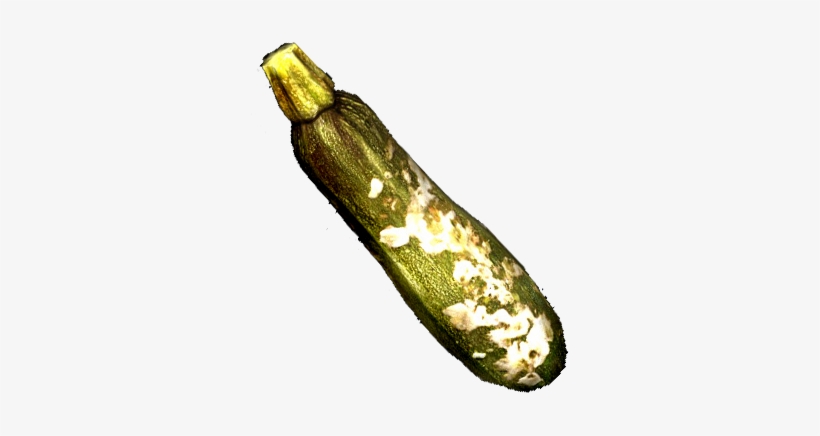 Slimy Zucchini, transparent png download