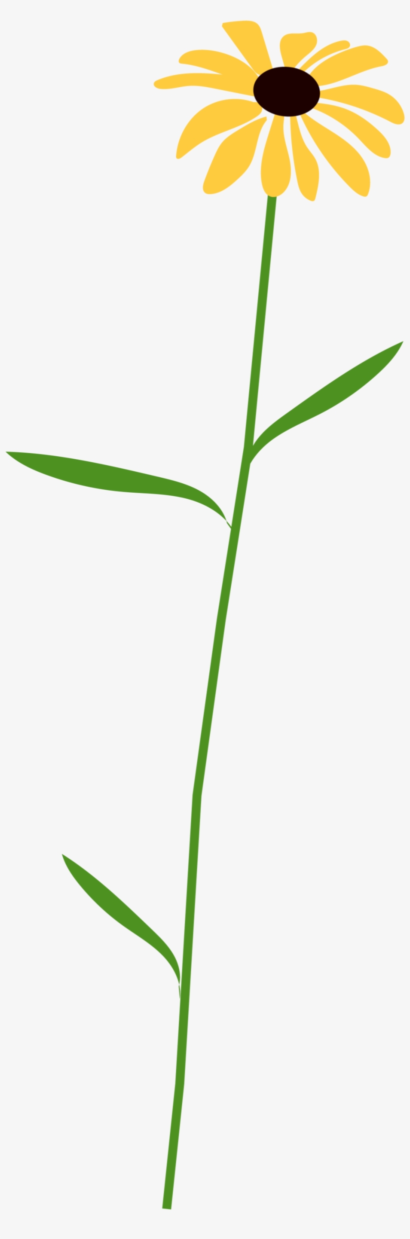 Flower 4 - Portable Network Graphics, transparent png download