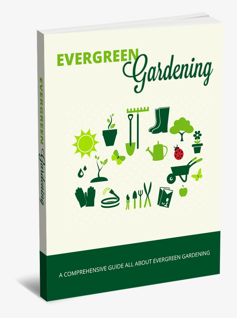 Garden, transparent png download
