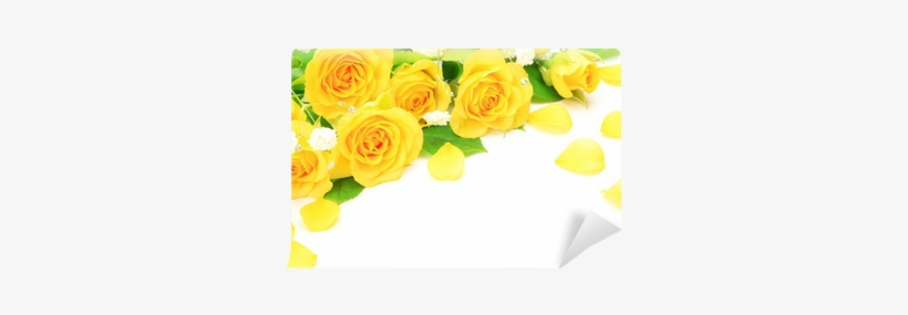 Rosa Amarela, transparent png download
