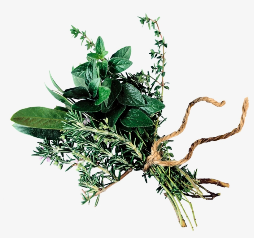 Herbs Tinos - Spells And Charms [book], transparent png download