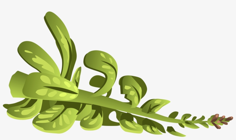 How To Set Use Herbs Rubeweed Clipart, transparent png download