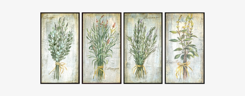 Herbs Pk/4 - Andover Mills Maryport Auburn Area Rug Rug Size: 3'3", transparent png download