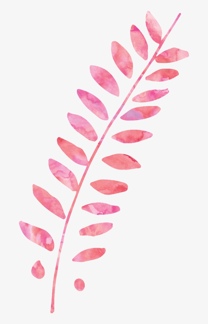 This Graphics Is Pink Plant Cartoon Transparent About - Pink, transparent png download