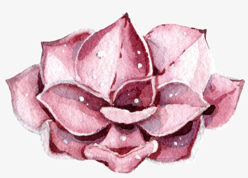 Pink Flowers Watercolor Hand-painted Transparent - Watercolor Painting, transparent png download