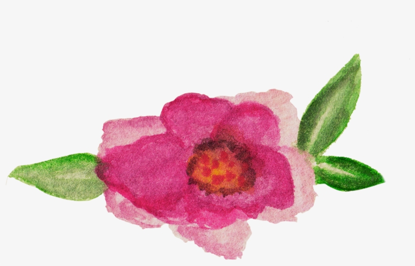 Baurbon And Graphics Pack Example Image - Flower, transparent png download