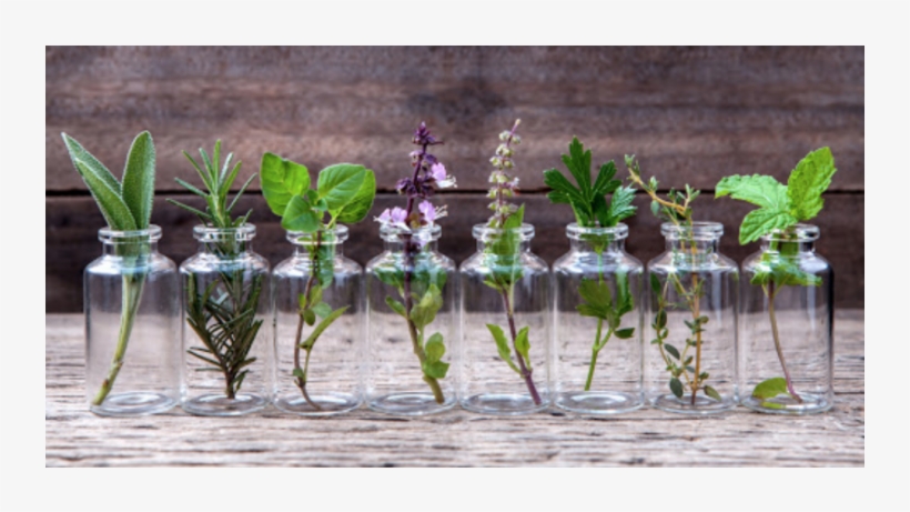 Harmony & Health - Natural Essential Oils, transparent png download