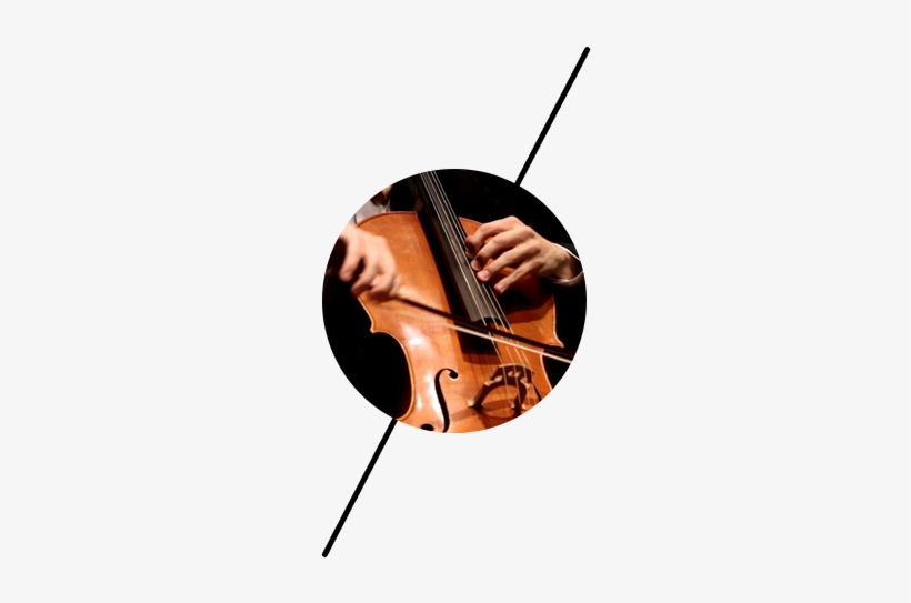 Orchestra Program Music At The Towers - Fundacion Cello Leon, transparent png download