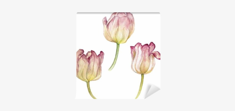 Watercolor Painting, transparent png download