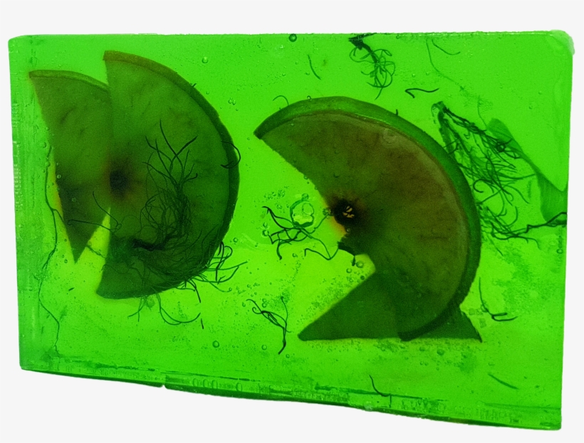 Still Life, transparent png download