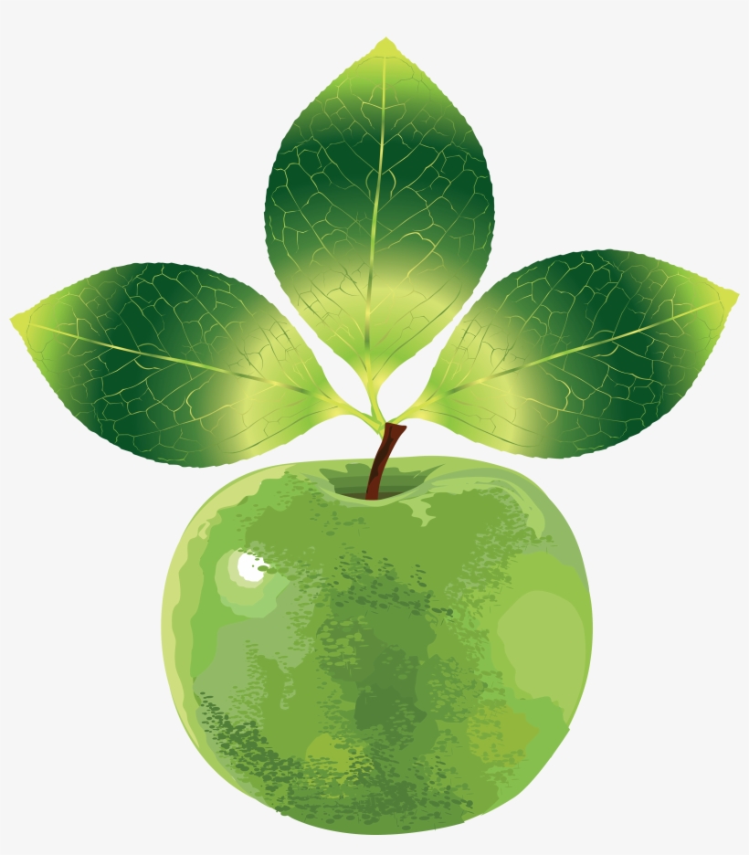 Green Apple Png Image Png Image - Vector Graphics, transparent png download