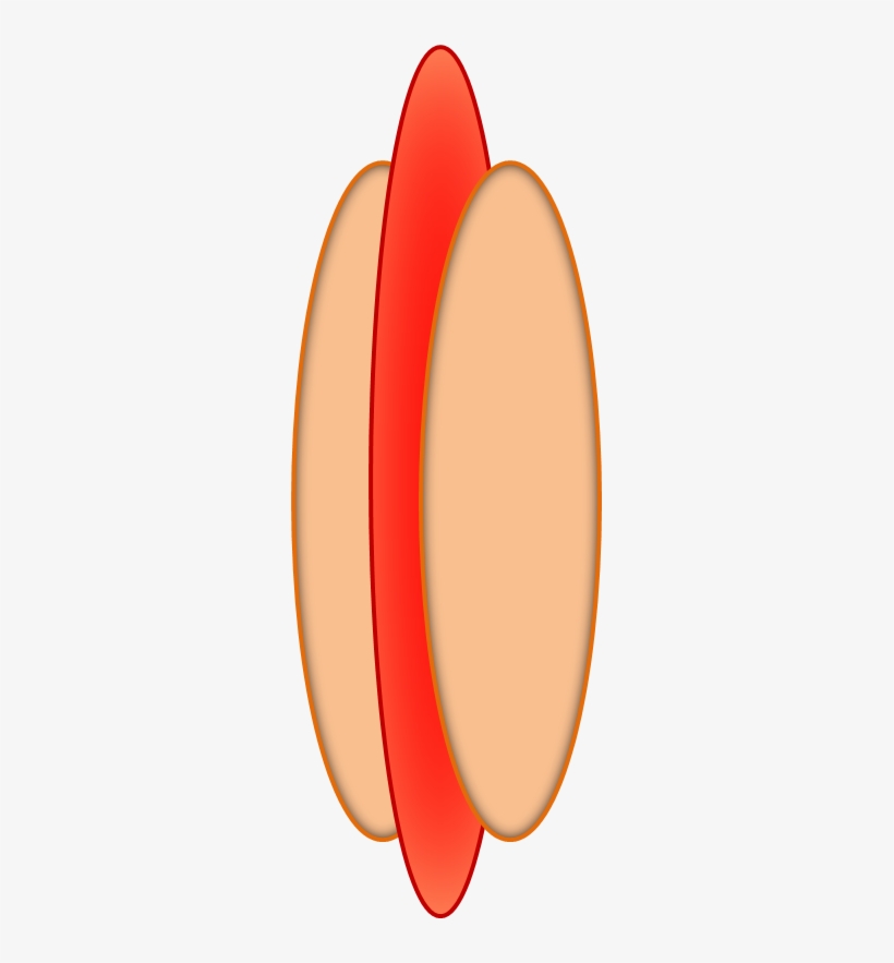 Hotdog, transparent png download
