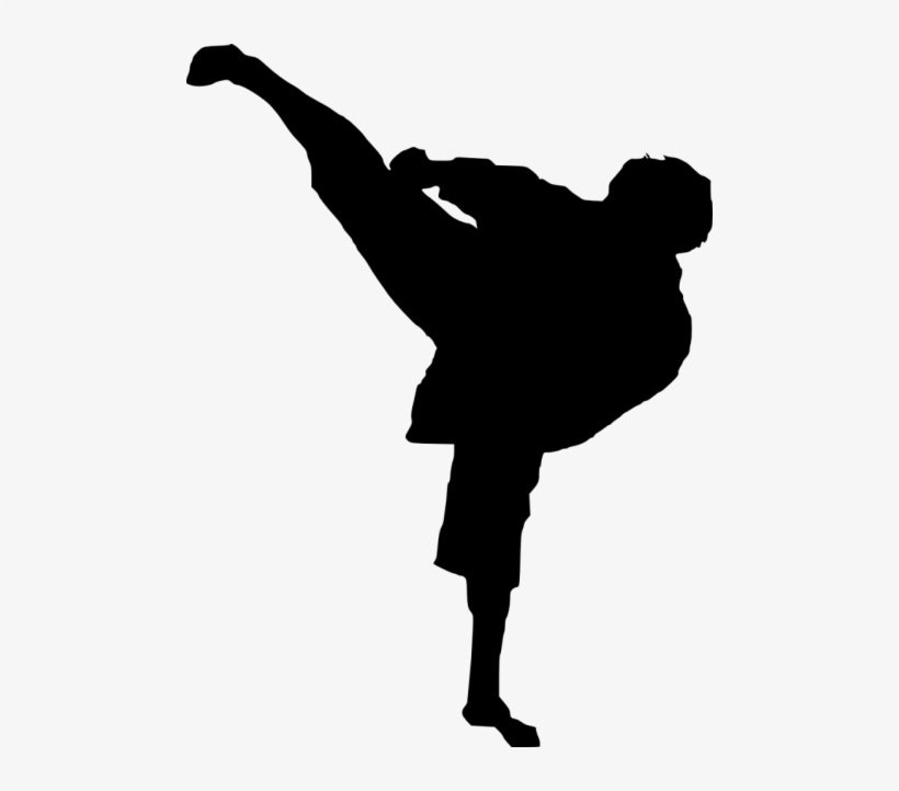 Free Png Karate Silhouette Png Images Transparent - Karate Silhouette Png, transparent png download