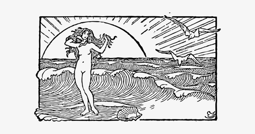 Free Vector Venus And The Half Shell Clip Art - Line Drawing Of The Ocean, transparent png download