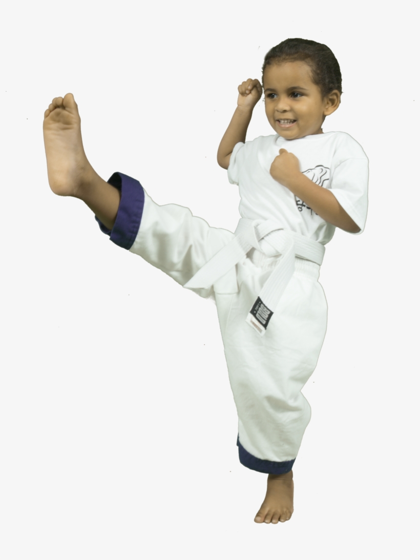 Lion Cubs Ages Lions Den Karate Png Lion Karate Belt, transparent png download