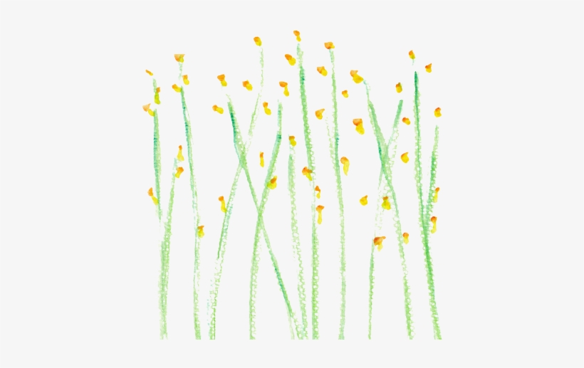 Border - Chain, transparent png download