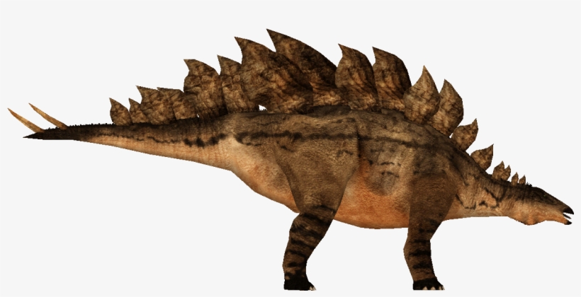 Stegosaurus - Carpet, transparent png download