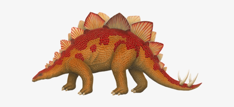 Stegosaurus Dinosaur Wall Decal Sticker - Large Dinosaur, transparent png download