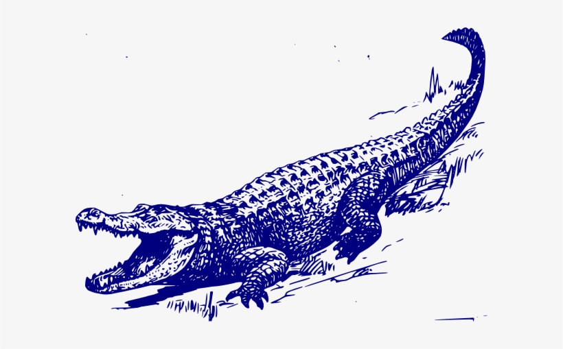 Small - Black And White Alligator, transparent png download