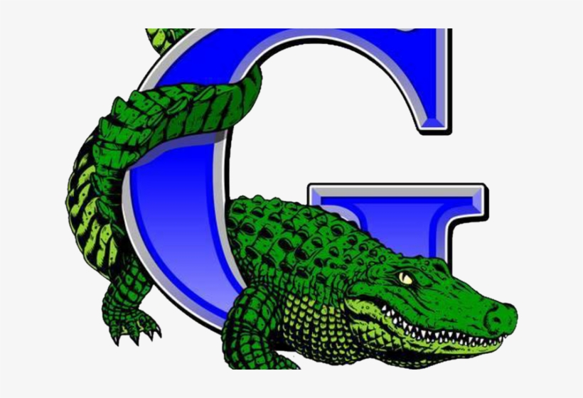 Volleyball Clipart Gator - Palm Beach Gardens Gators Logo, transparent png download