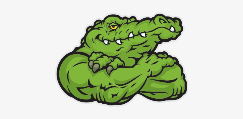 Printed Vinyl Gator Alligator Head - Sticker, transparent png download