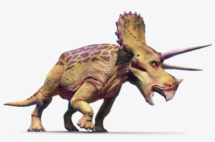 Triceratops Left Cepidt - Big History: Examines Our Past, Explains Our Present,, transparent png download