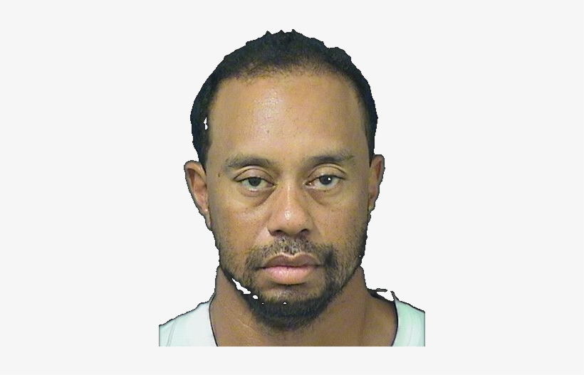 Image - Tiger Woods Drunk Driving, transparent png download