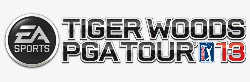 Responsibilities - Tiger Woods Pga Tour Png, transparent png download