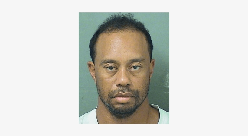 Tiger Woods - Tiger Woods Mugshot 2017, transparent png download