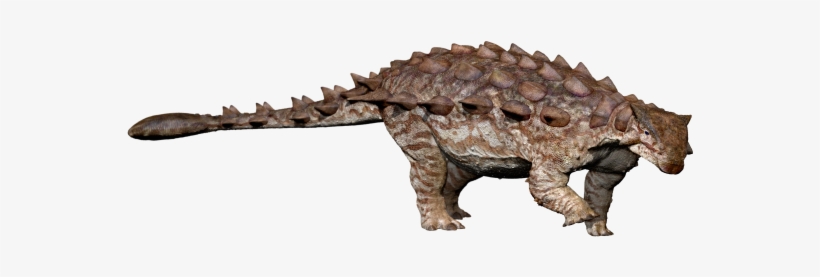 0 Replies 3 Retweets 9 Likes - Jinyunpelta, transparent png download