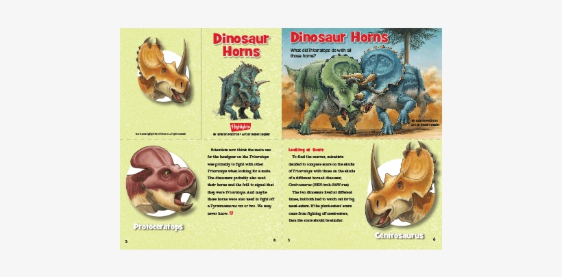 View Larger Imageview More Images - Stallion, transparent png download