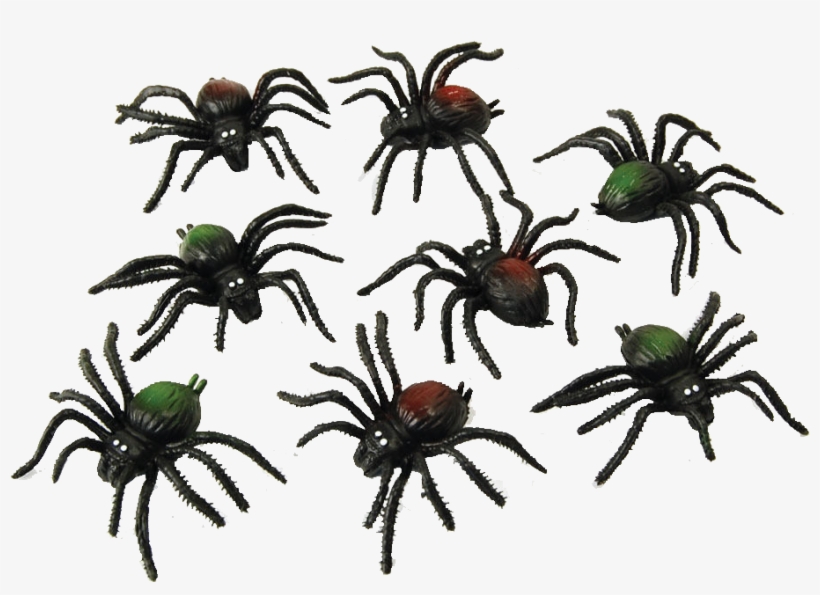 Spiders Transparent Image - 8 Spiders, transparent png download