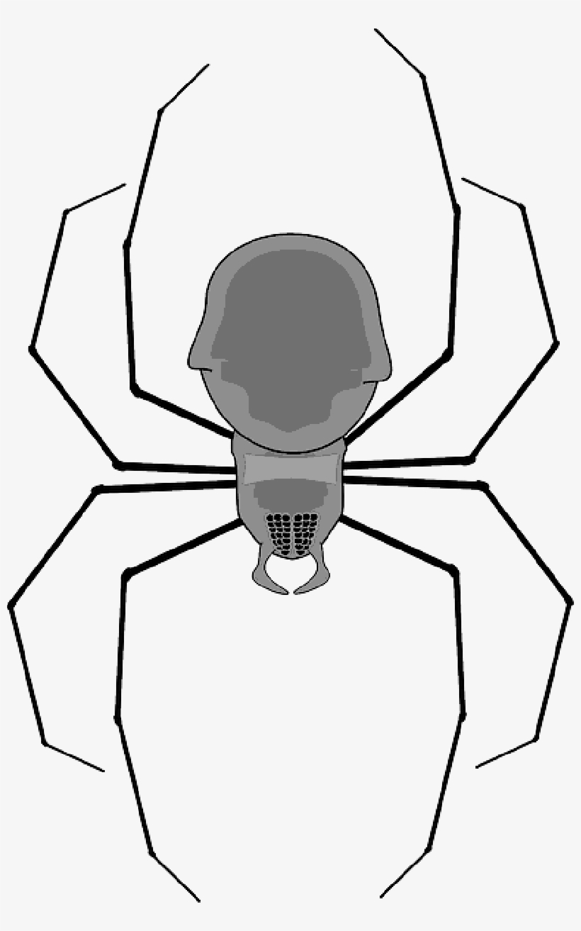 Mb Image/png - Spider Clip Art, transparent png download