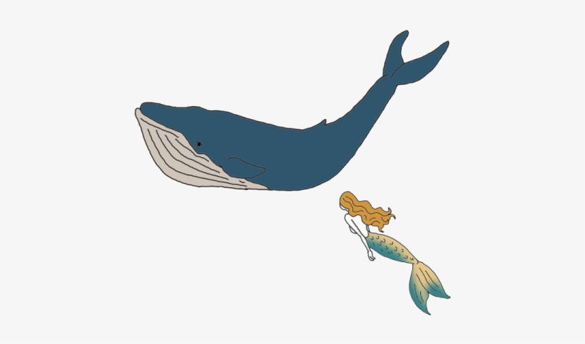 تعبیر نهنگ در فال قهوه, transparent png download
