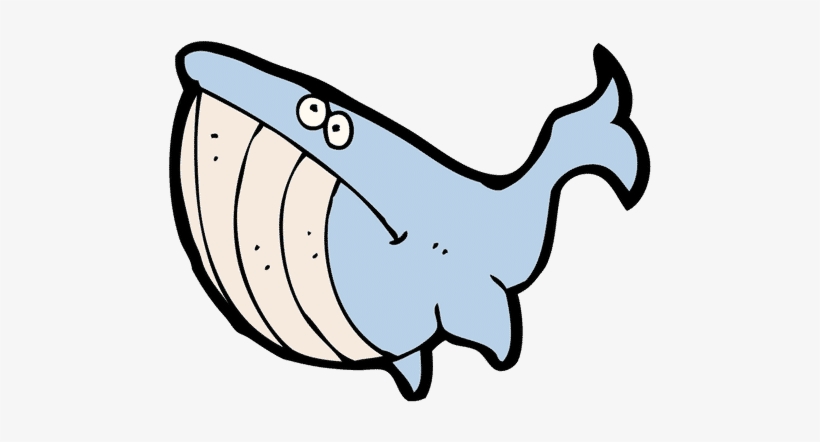 Blue Whale - 0shares - Whales, transparent png download