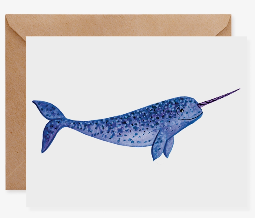 Narwhal - Humpback Whale, transparent png download