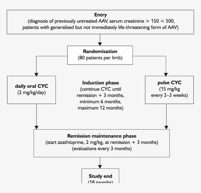 Cyclops-design Of The Study - Design, transparent png download